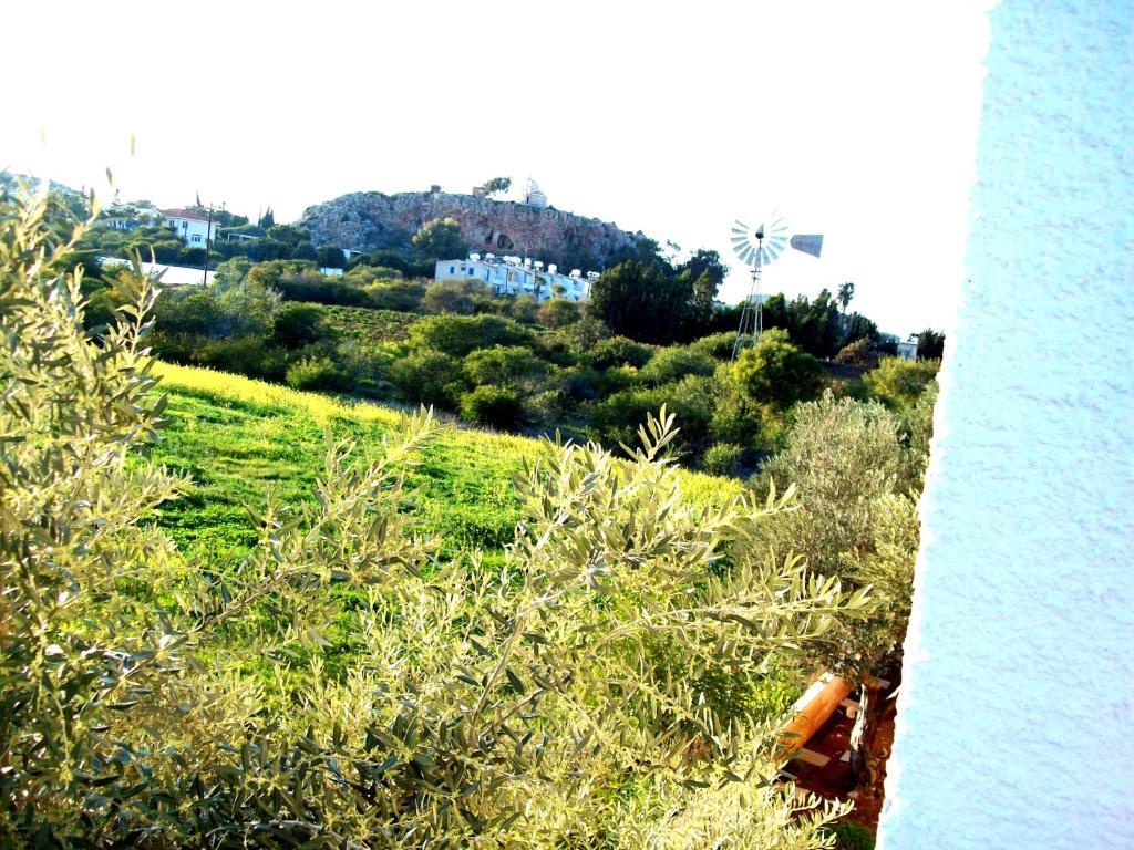 Flokkas Hotel Apartments Protaras Exterior photo